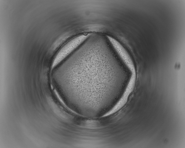 X0000112730154200909101500