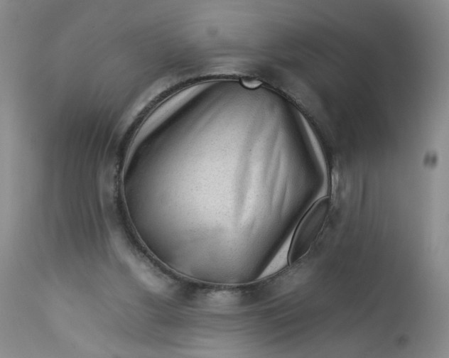 X0000112730156200909101500