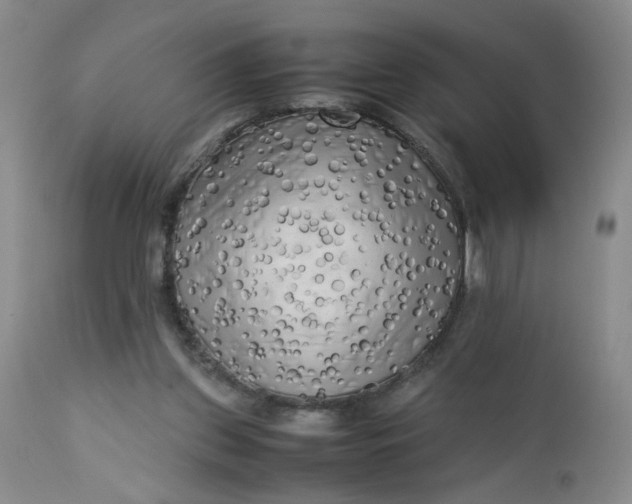 X0000112730157200909101500