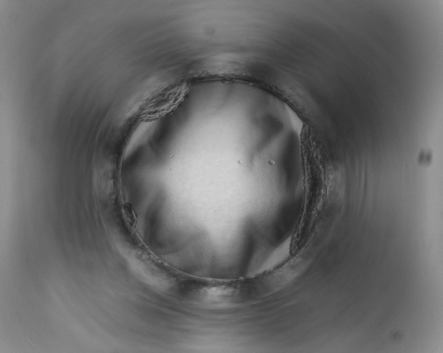 X0000112730158200909101500