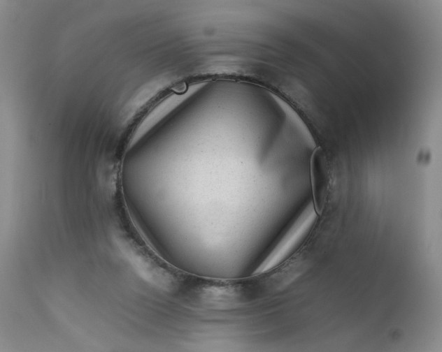 X0000112730160200909101500