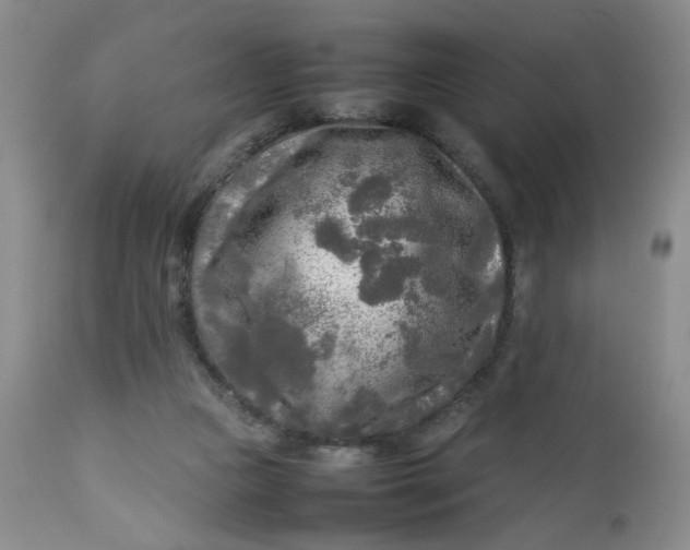 X0000112730161200909101500