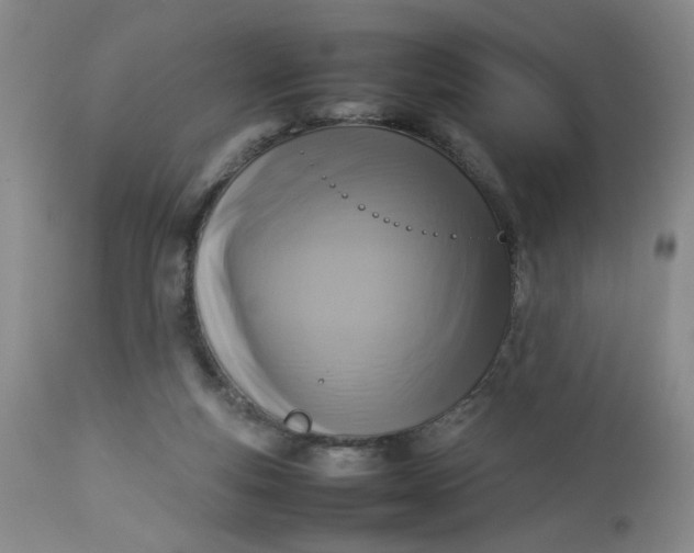 X0000112730163200909101500