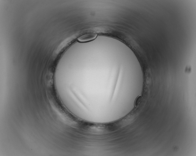 X0000112730164200909101500