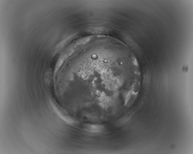 X0000112730165200909101500