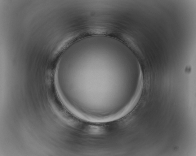 X0000112730167200909101500