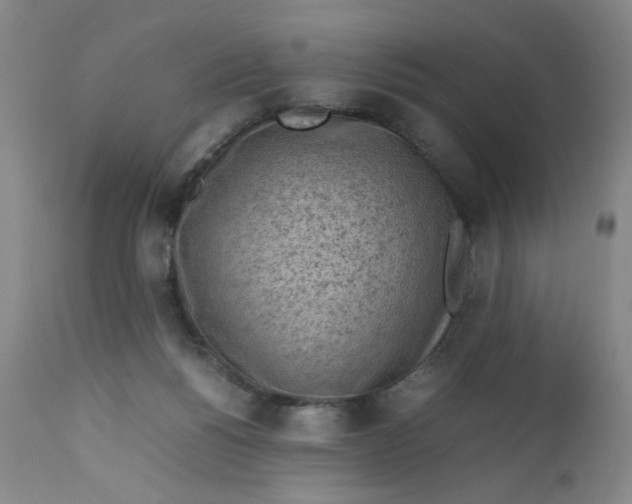 X0000112730168200909101500