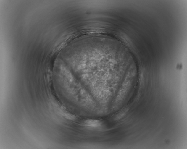 X0000112730169200909101500