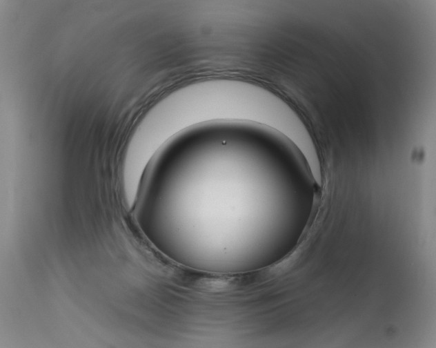 X0000112730170200909101500