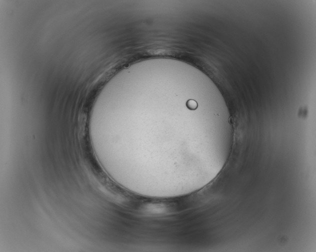 X0000112730171200909101500