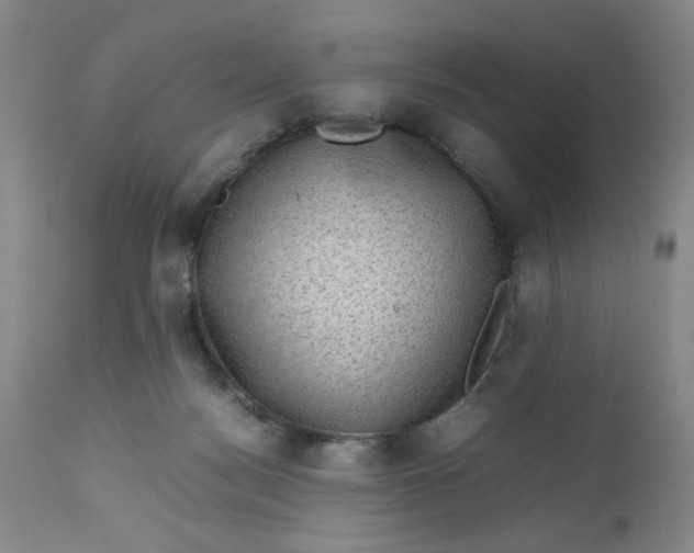 X0000112730172200909101500