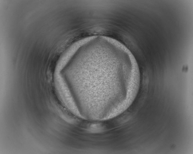 X0000112730173200909101500