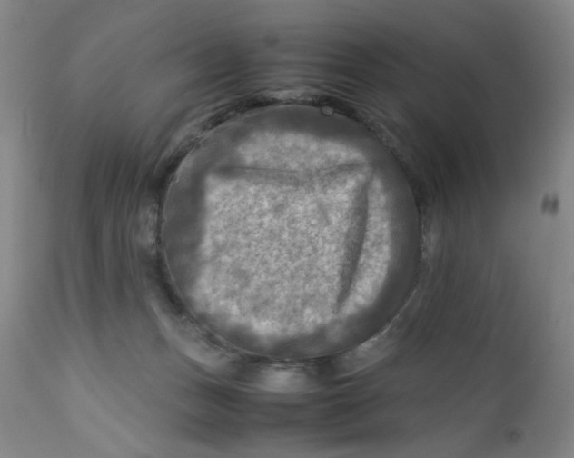 X0000112730175200909101500