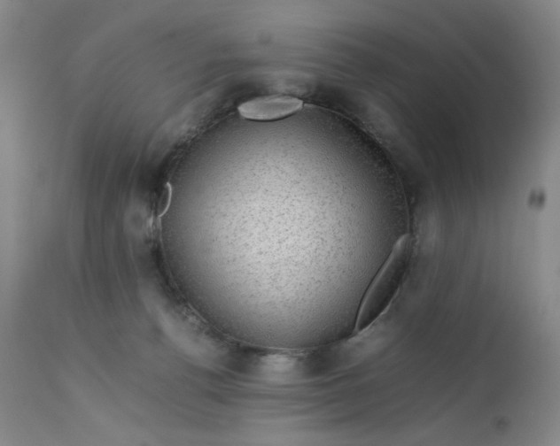 X0000112730176200909101500