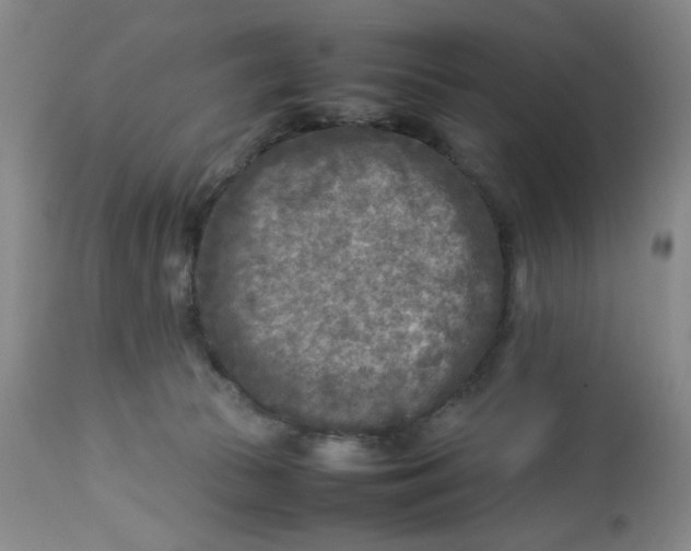 X0000112730177200909101500