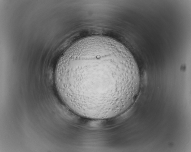 X0000112730178200909101500