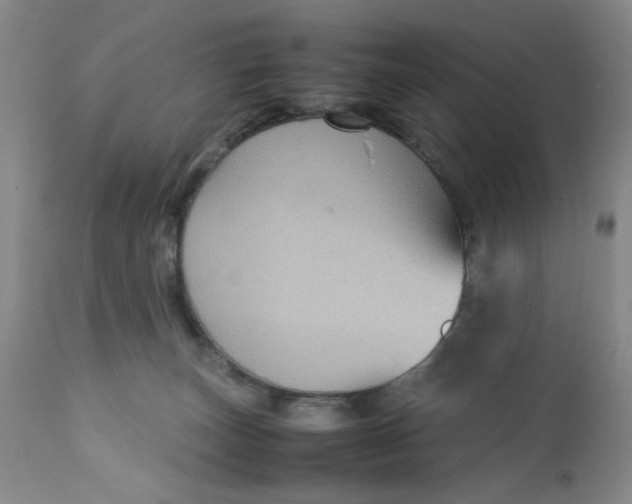 X0000112730179200909101501