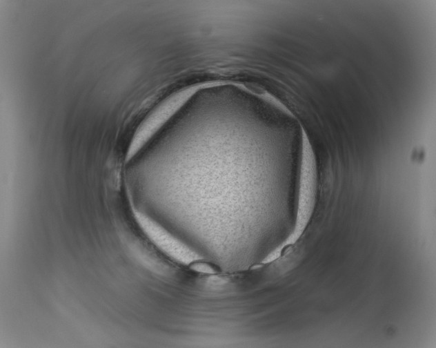 X0000112730180200909101501