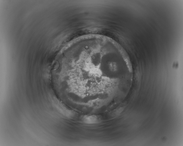 X0000112730181200909101501