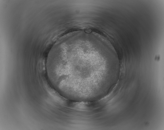 X0000112730182200909101501