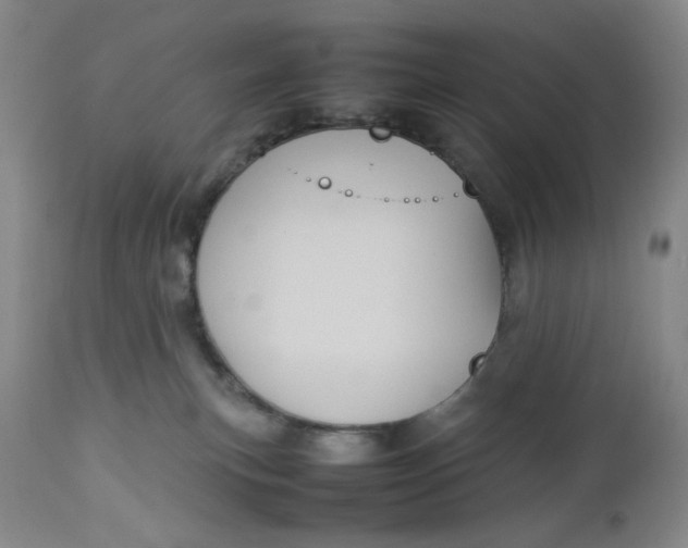 X0000112730183200909101501