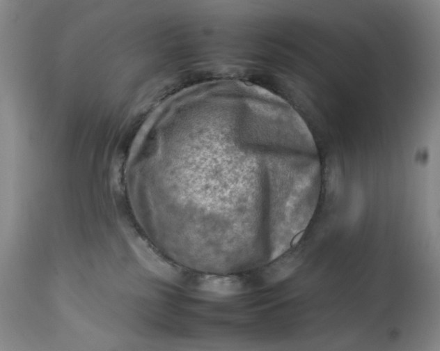 X0000112730185200909101501