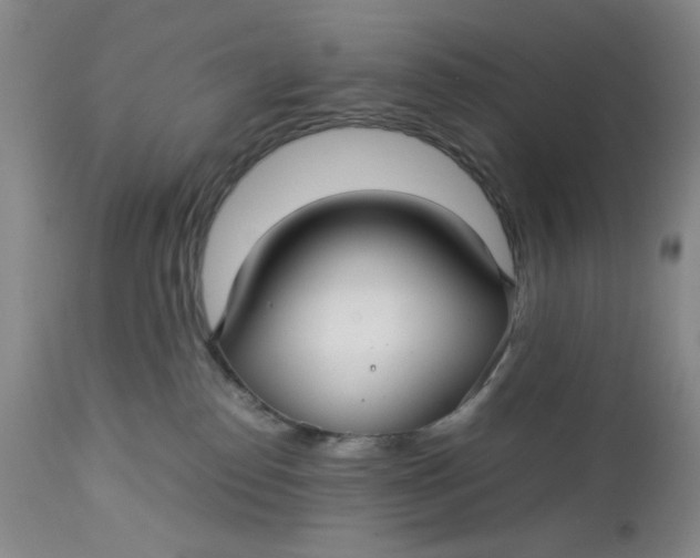 X0000112730186200909101501