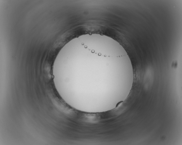 X0000112730187200909101501