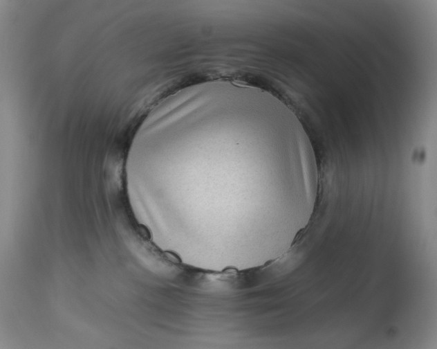 X0000112730188200909101501