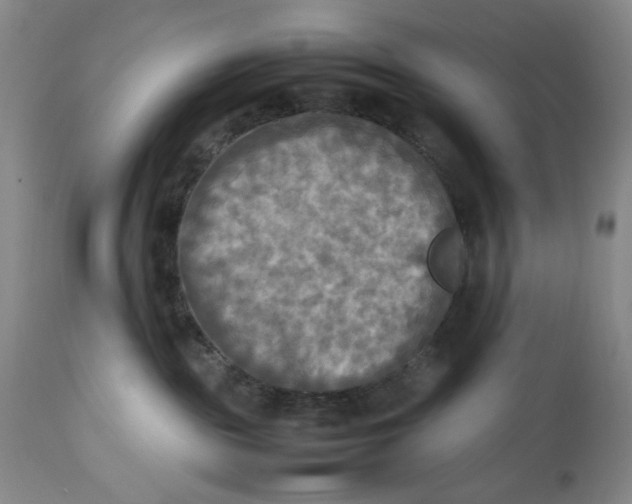 X0000112730189200909101501