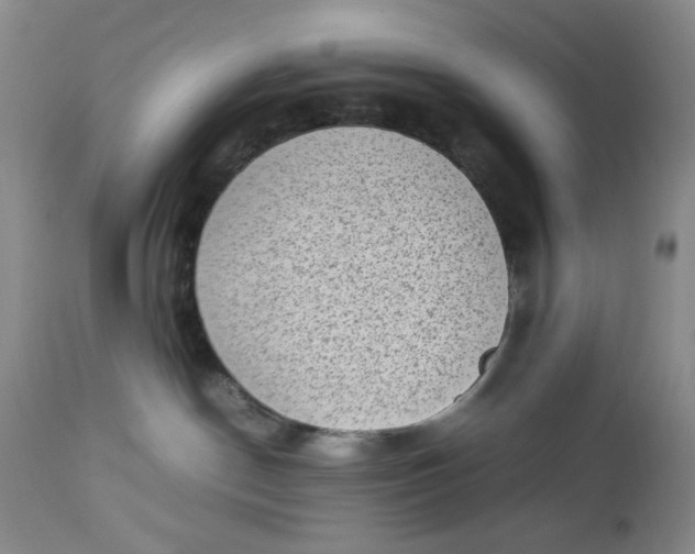 X0000112730190200909101501