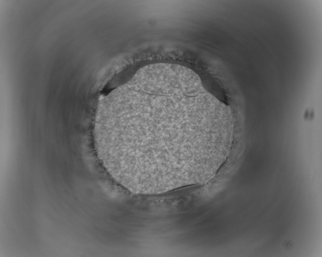 X0000112730192200909101501