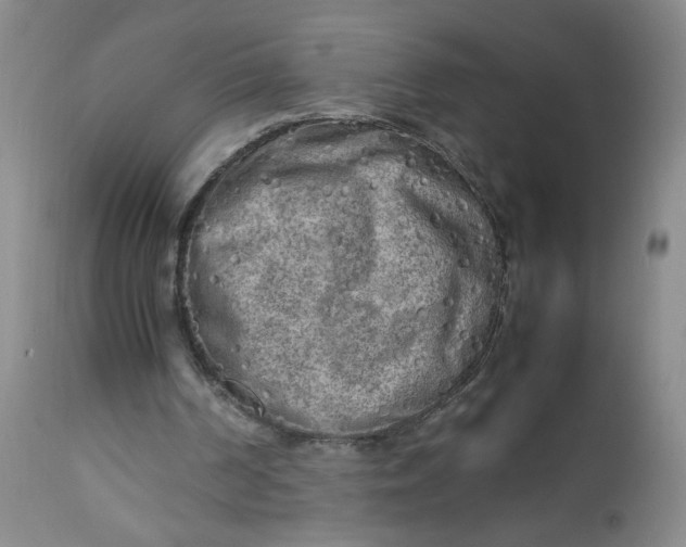 X0000112730194200909101500