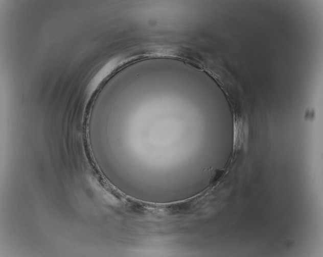 X0000112730195200909101500