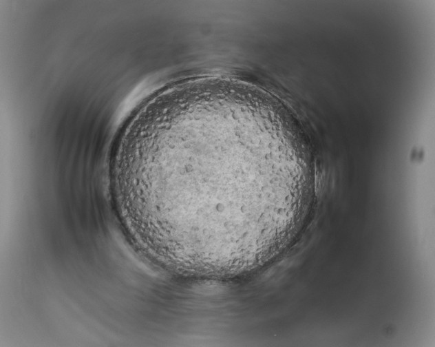 X0000112730198200909101500