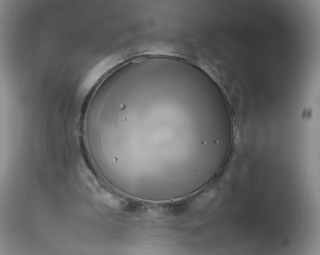 X0000112730199200909101500