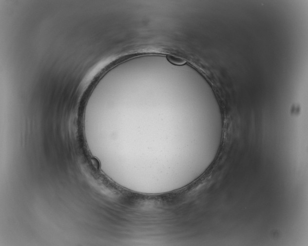 X0000112730200200909101500