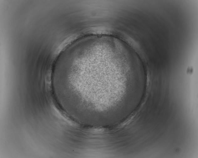 X0000112730202200909101500