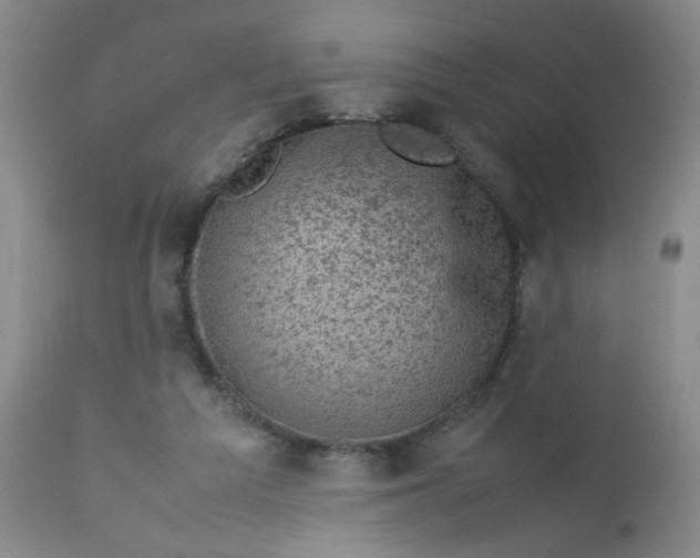 X0000112730209200909101500