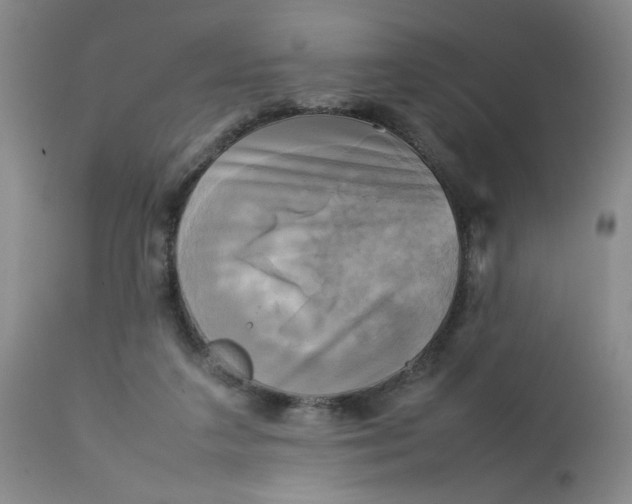 X0000112730211200909101459