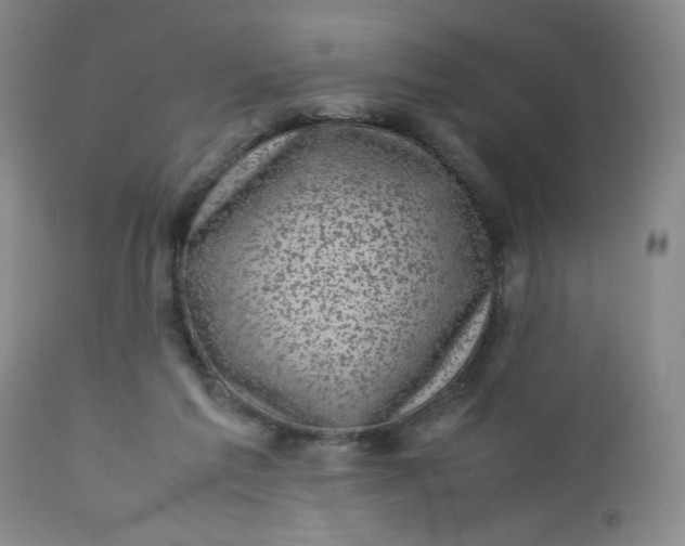 X0000112730213200909101459