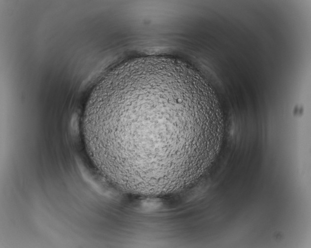 X0000112730214200909101459