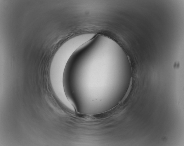 X0000112730215200909101459