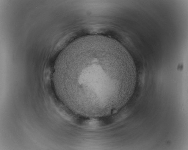 X0000112730219200909101459