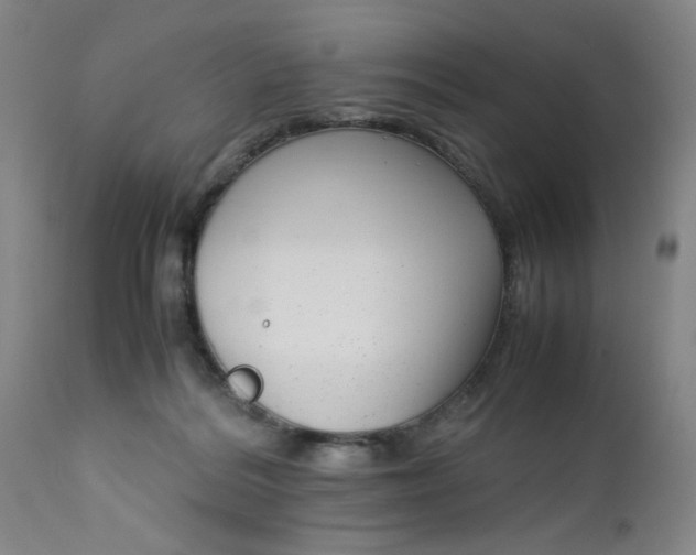 X0000112730220200909101459