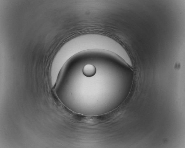 X0000112730221200909101459