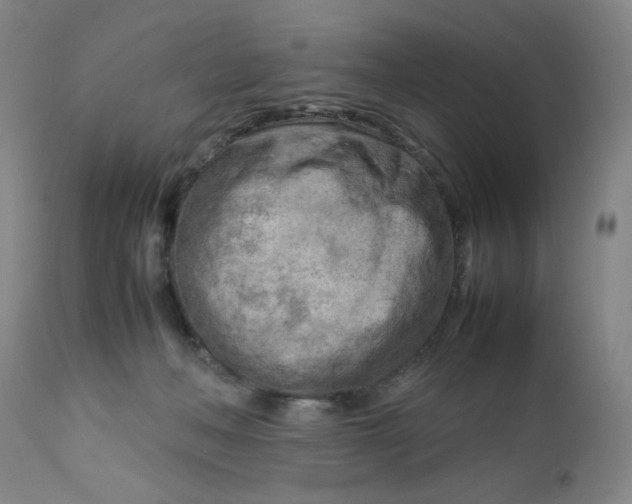 X0000112730222200909101459