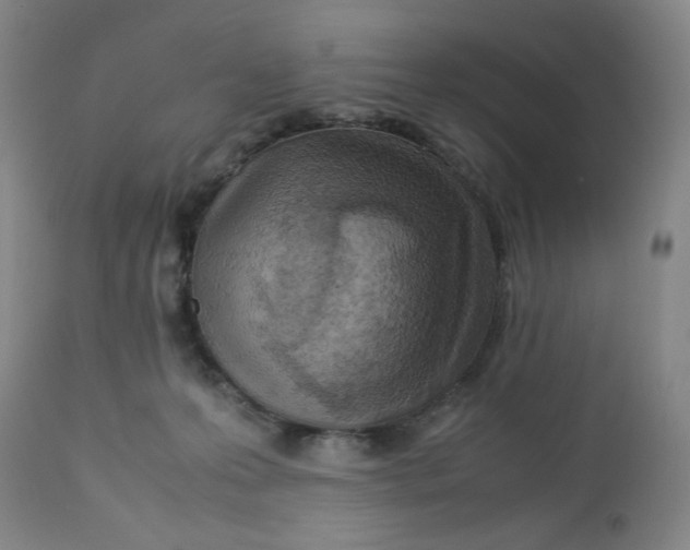 X0000112730223200909101459