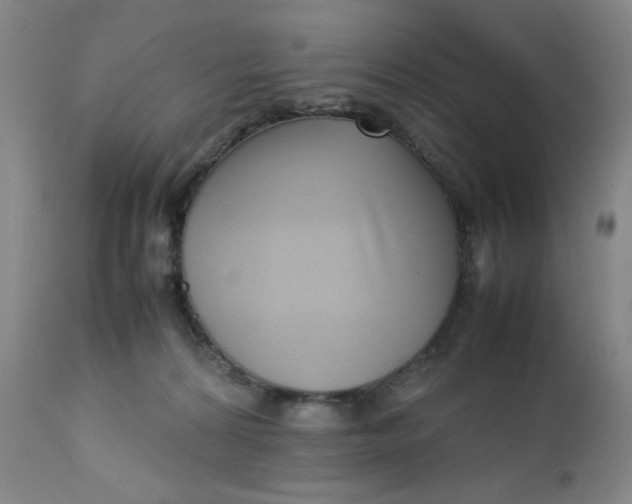 X0000112730224200909101459