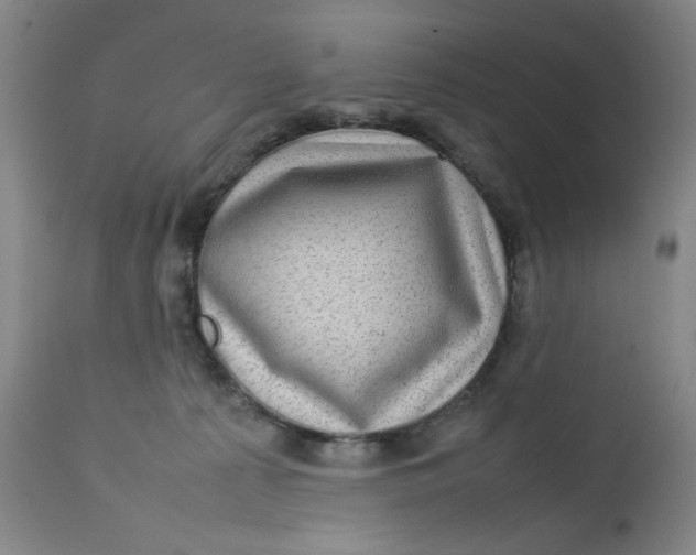 X0000112730225200909101459